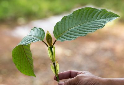 kratom strains for anxiety