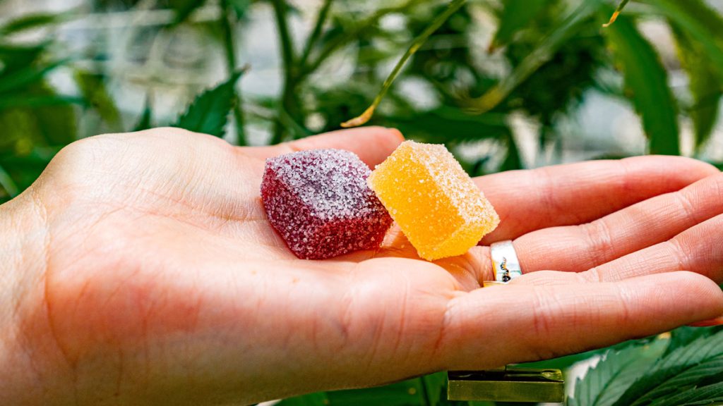 The Best Delta-9 Gummies for Pain Management: Expert Reviews