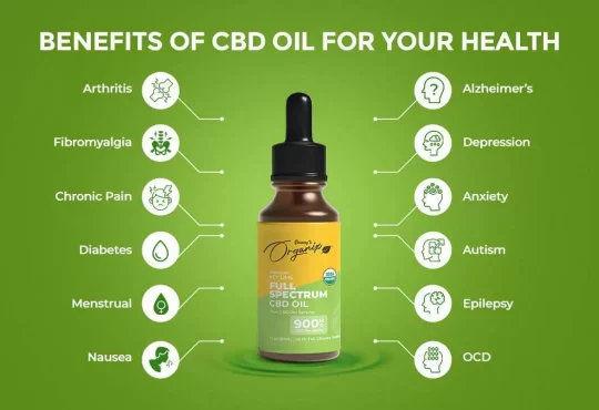 How CBD Oil Can Enhance Your Daily Wellness Routine?